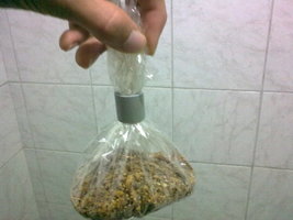 28062011176.jpg