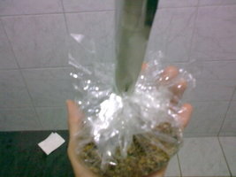 28062011181.jpg