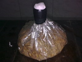 29062011203.jpg