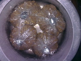 29062011214.jpg