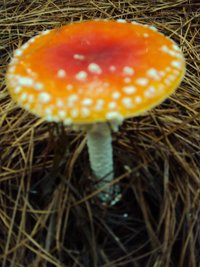 DSC03892.JPG