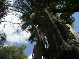 Rio Preto da Eva 3.JPG