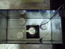 PICT0020.JPG