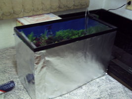 PICT0021.JPG
