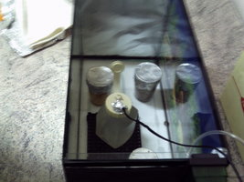 PICT0025.JPG