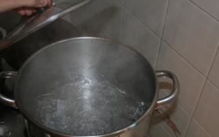 IMG_4881_320x200.jpg