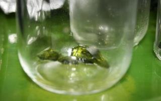 IMG_8010_320x200.jpg