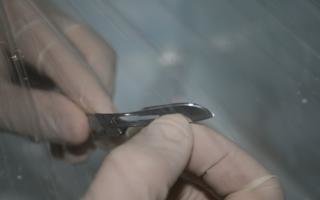 IMG_4931_320x200.jpg