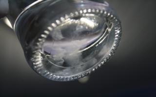 IMG_5035_320x200.jpg