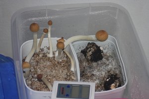 IMG_2653.JPG