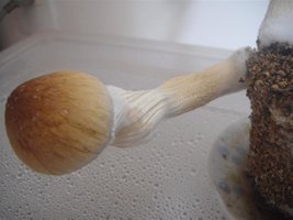 DSC00649 (Medium).JPG