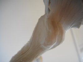 DSC00651 (Medium).JPG