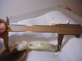 DSC00684 (Medium).JPG