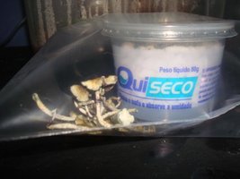 secos BOLO 1 003_640x480.jpg