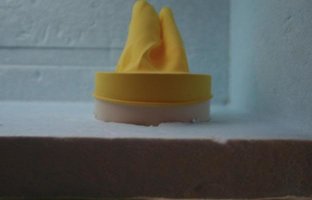 cultivo 006.jpg
