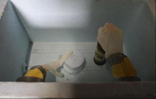 cultivo 009.jpg