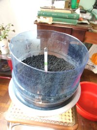 DSCF7620.JPG