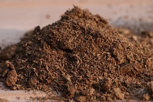 800px-Schultz_Sphagnum_Peat_Moss.jpg