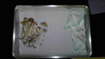 21092011056.jpg
