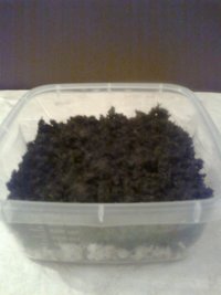 case2.jpg