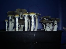 PIC_0077.JPG