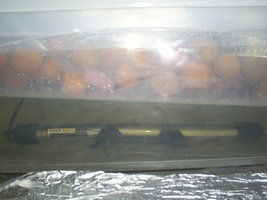 thermoaquecedor_detalhe.jpg