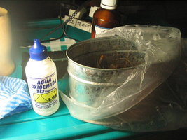 pesa s esterilização.jpg