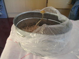 pesa s esterilização 003.jpg