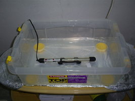 termoaquecedor recipiente8-8-6.jpg