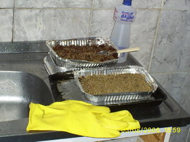 preparando_casing.jpg