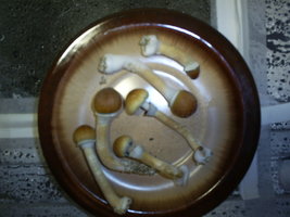 sacred plate.JPG