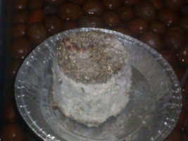 pinning segundo flush 27-08-06.JPG