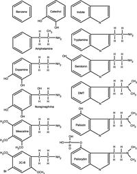 amines.gif
