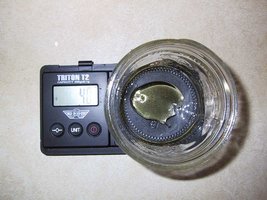 326217920-measurement.jpg