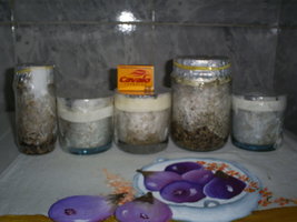 1ºBURMA 2,3e5º PINK BUFF 4º PESA 01-09-06.JPG