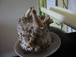 IMG_0008.jpg