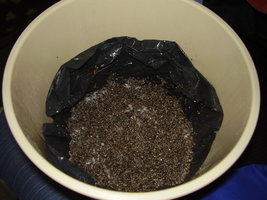 cultivo01 004.jpg