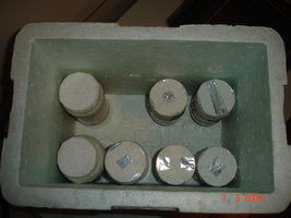 DSC04180.JPG