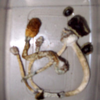 100_1779.jpg