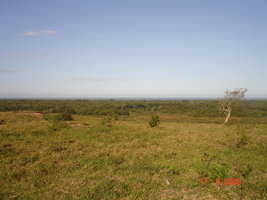 DSC04425.JPG
