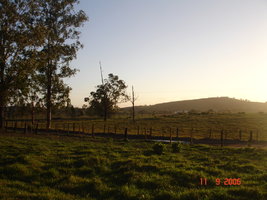 DSC04438.JPG