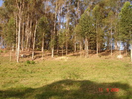 DSC04421.JPG