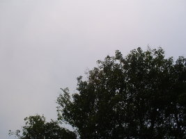 outdoor nublado 15-09-06.JPG