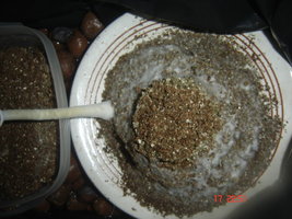 DSC00051.JPG