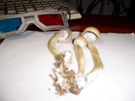 100_1801.jpg