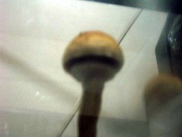 100_1798.jpg