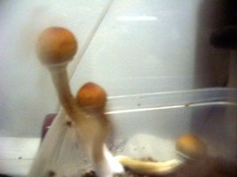 100_1789.jpg