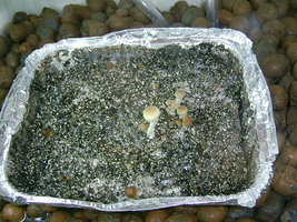 PIC_0001.JPG