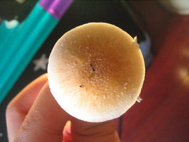 baldão 002.jpg