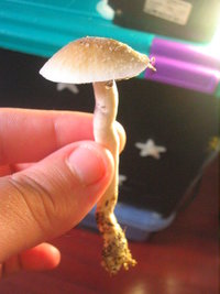baldão 008.jpg